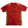 Camisetas Portugal Special Edition 2025 - Hombre